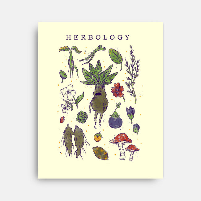 Herbology Class-None-Stretched-Canvas-yumie