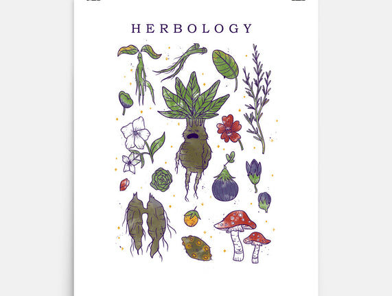 Herbology Class