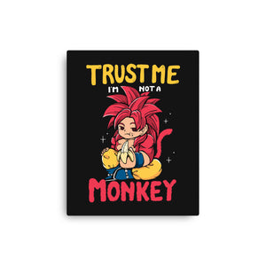 I'm Not A Monkey