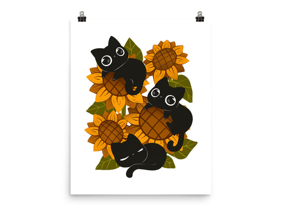 Sunflowers And Black Kitties