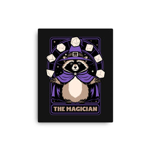 Raccoon RPG Wizard