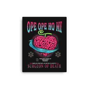 Ope Ope No Mi Devil Fruit