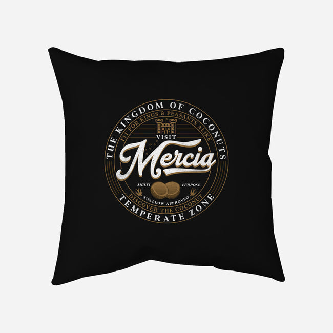 Visit Mercia-None-Removable Cover w Insert-Throw Pillow-rocketman_art
