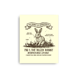 The Rabbit Of Caerbannog