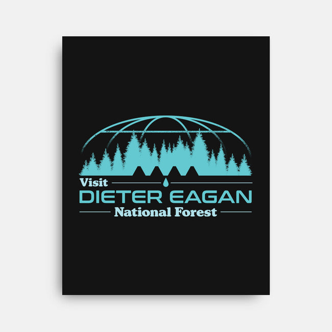Visit Dieter Eagan National Forest-None-Stretched-Canvas-sachpica