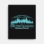 Visit Dieter Eagan National Forest-None-Stretched-Canvas-sachpica