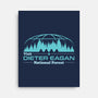Visit Dieter Eagan National Forest-None-Stretched-Canvas-sachpica