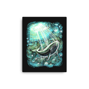 Starry Whale