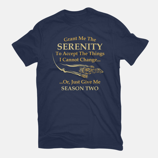 Grant Me The Serenity-Womens-Fitted-Tee-kg07