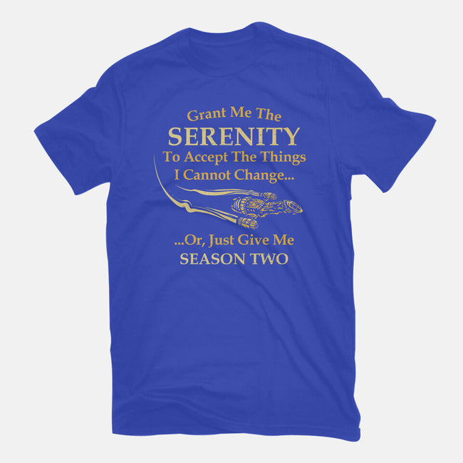 Grant Me The Serenity-Womens-Fitted-Tee-kg07