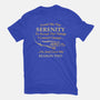 Grant Me The Serenity-Womens-Fitted-Tee-kg07