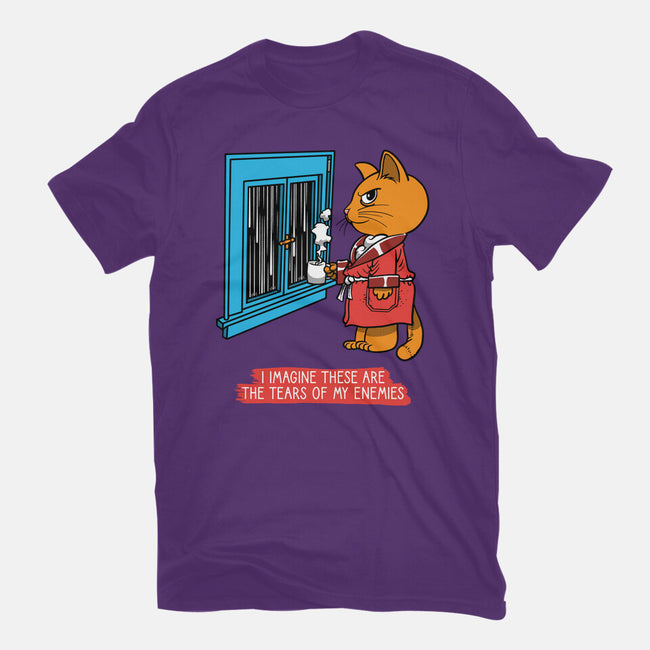 Thoughts On A Rainy Day-Mens-Basic-Tee-imisko