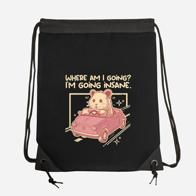 I Am Going Insane-None-Drawstring-Bag-NemiMakeit
