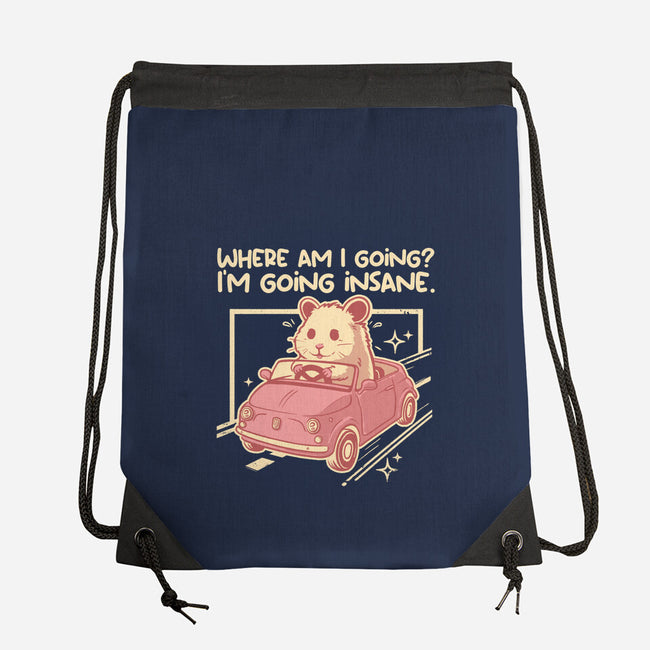 I Am Going Insane-None-Drawstring-Bag-NemiMakeit