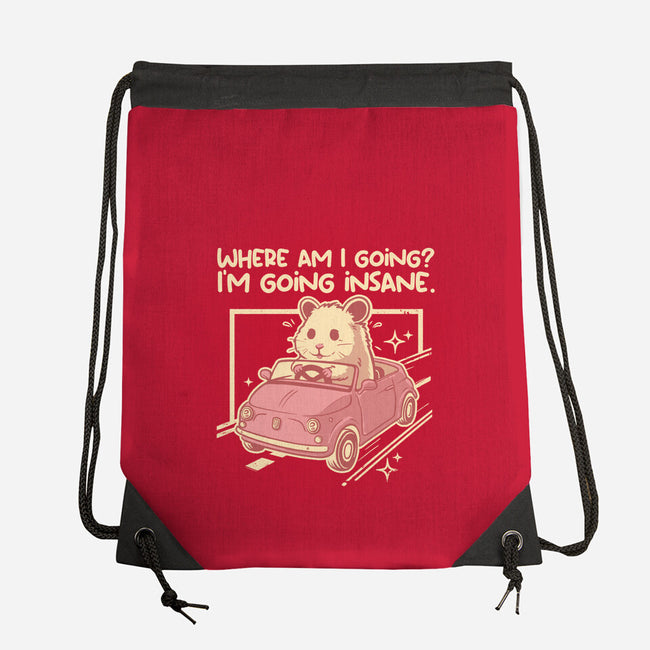 I Am Going Insane-None-Drawstring-Bag-NemiMakeit