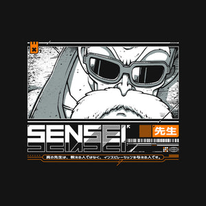 Sensei V4 MRoshi