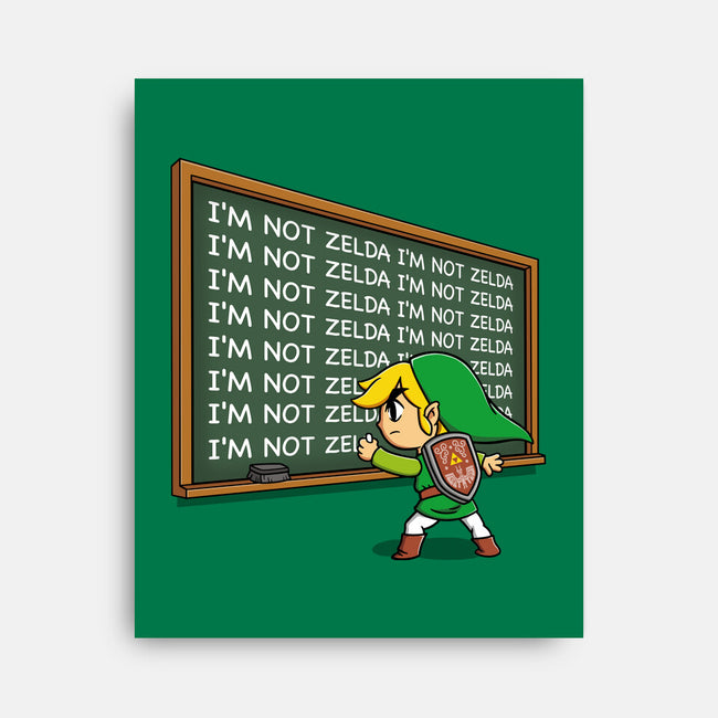 Not Zelda-None-Stretched-Canvas-Barbadifuoco