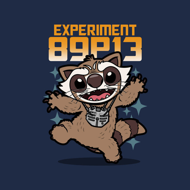 Experiment 89P13-Mens-Long Sleeved-Tee-Boggs Nicolas