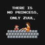 There Is No Princess-none glossy sticker-mikehandyart