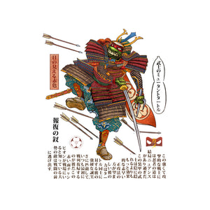 Samurai Raphael