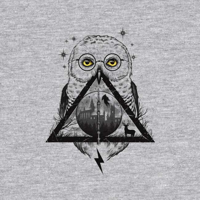 Owls and Wizardry-youth basic tee-vp021