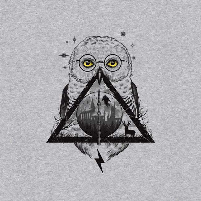 Owls and Wizardry-womens v-neck tee-vp021