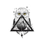 Owls and Wizardry-youth pullover sweatshirt-vp021