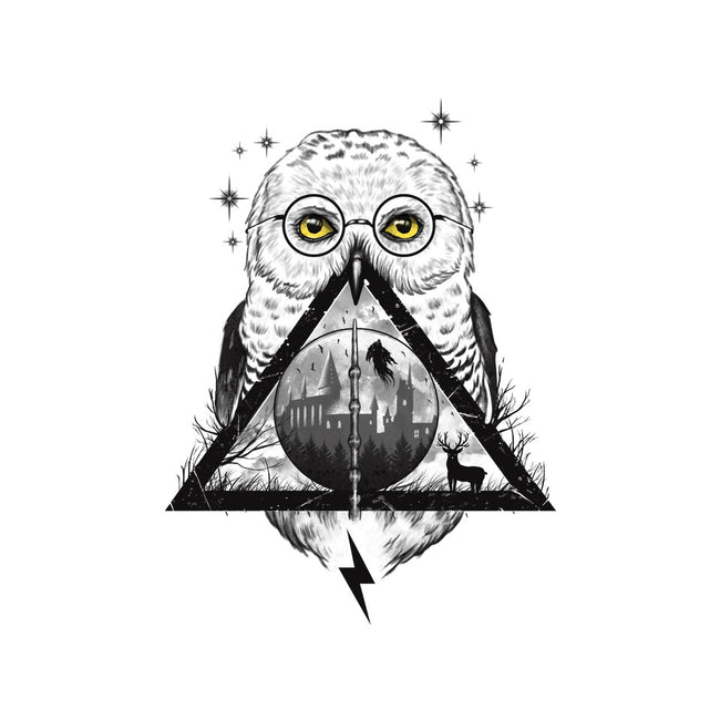 Owls and Wizardry-womens v-neck tee-vp021