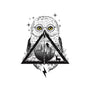 Owls and Wizardry-womens v-neck tee-vp021