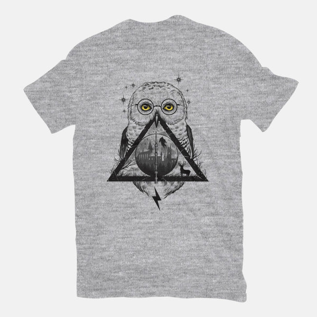 Owls and Wizardry-youth basic tee-vp021