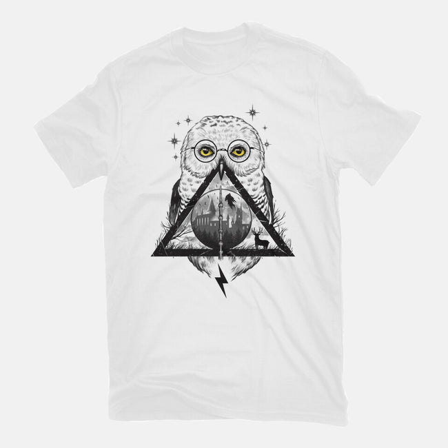 Owls and Wizardry-mens premium tee-vp021
