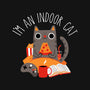 Indoor Cat-none memory foam bath mat-DinomIke