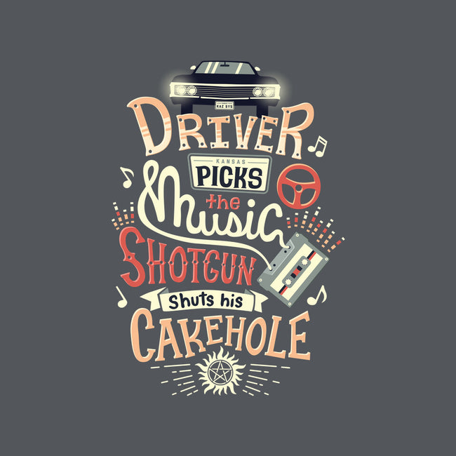 Driver Picks the Music-none non-removable cover w insert throw pillow-risarodil