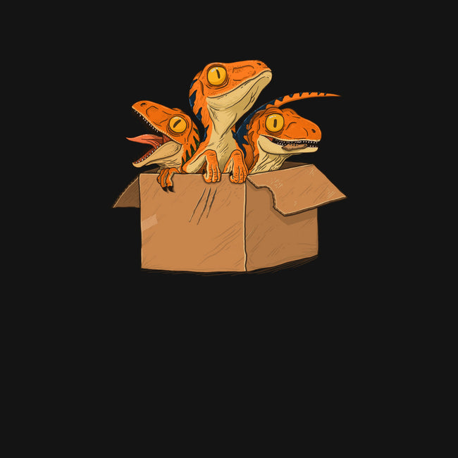 Adopt a Raptor-youth pullover sweatshirt-ppmid