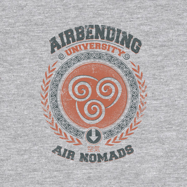 Airbending University-none stretched canvas-Typhoonic