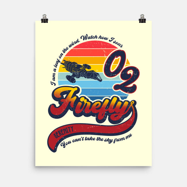 Can't Take the Sky-none matte poster-DrMonekers
