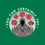You Can Certainly Try-womens racerback tank-ShirtGoblin