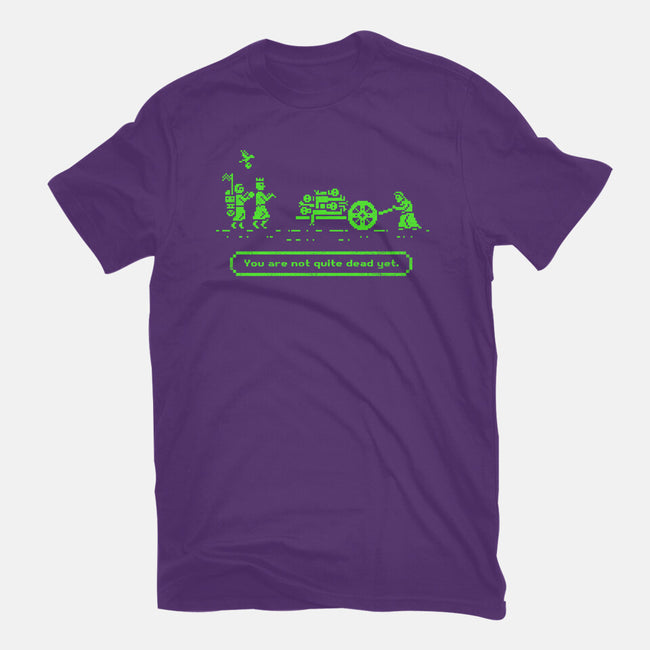 The Camelot Trail-mens premium tee-kg07