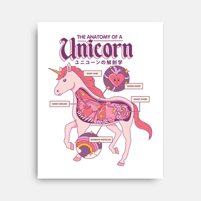 The Anatomy Of A Unicorn-none stretched canvas-Thiago Correa