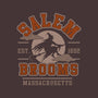 Salem Brooms-none memory foam bath mat-Thiago Correa