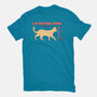 Cat Petting Guide-womens fitted tee-Thiago Correa