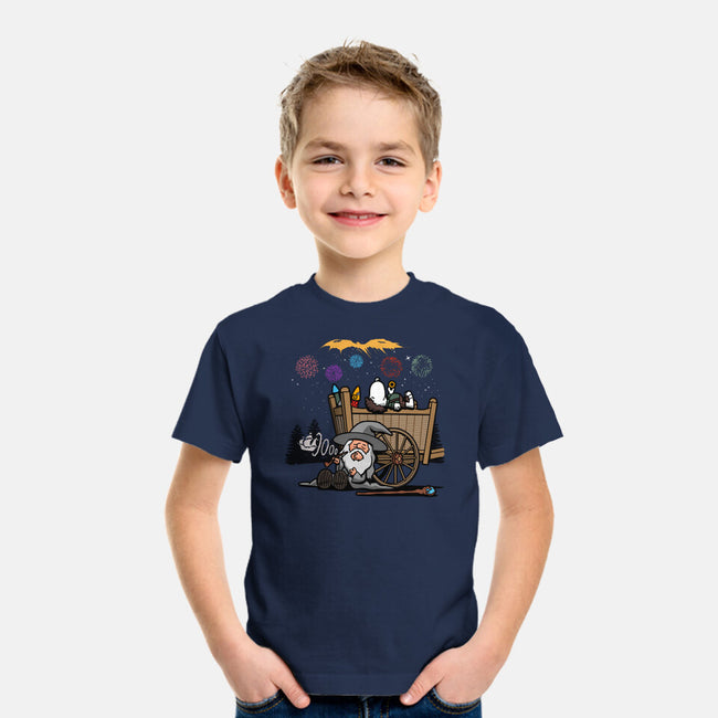 Fireworks Nuts-youth basic tee-Boggs Nicolas