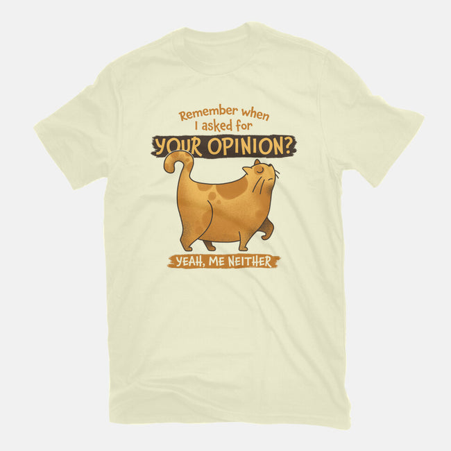 I Didn't Ask-mens premium tee-zawitees