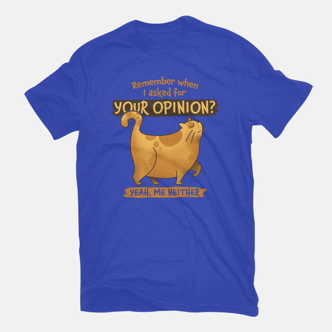 I Didn't Ask-mens basic tee-zawitees