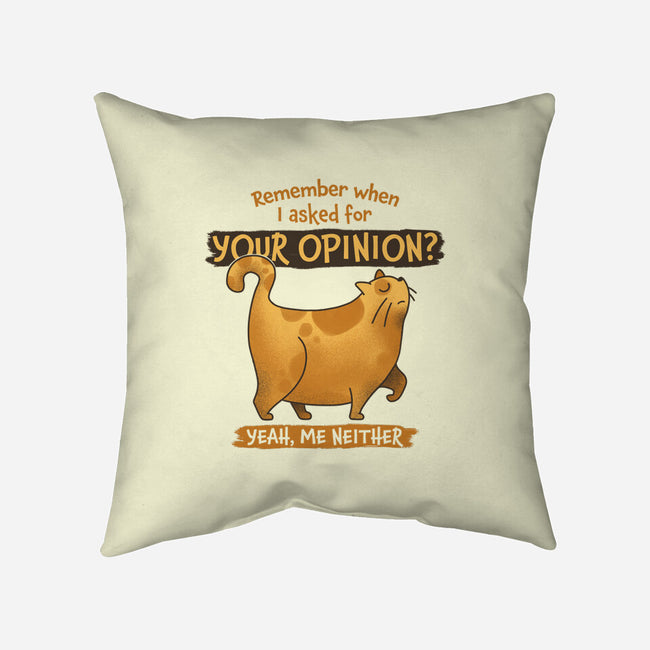 I Didn't Ask-none removable cover throw pillow-zawitees
