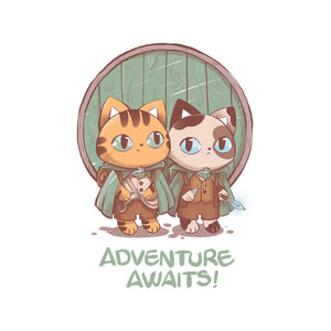 Kitten Adventure Awaits