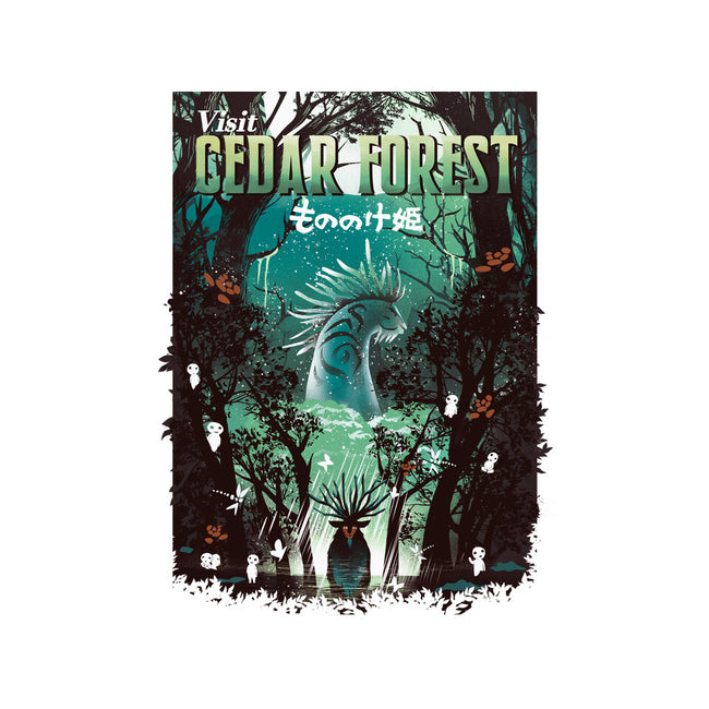 Visit Cedar Forest-youth basic tee-dandingeroz
