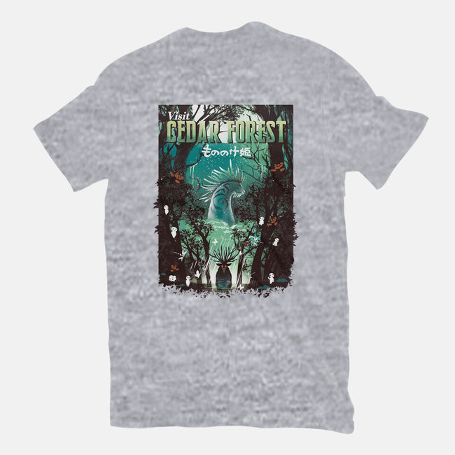 Visit Cedar Forest-youth basic tee-dandingeroz