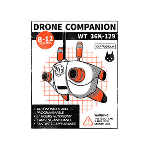 Drone Companion