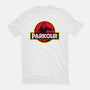 Parkour!-womens basic tee-Raffiti